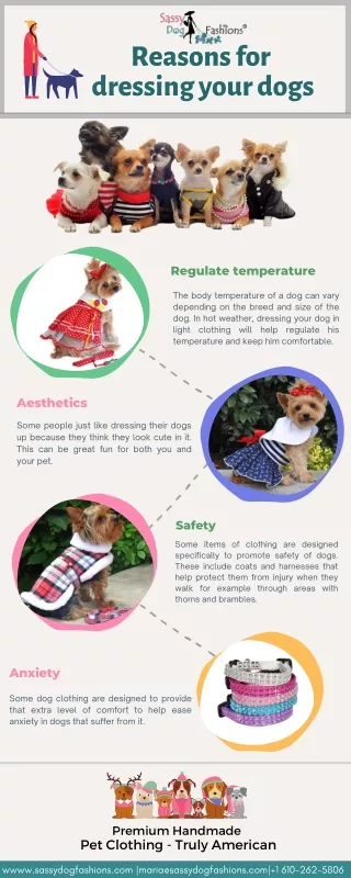 Reasons for  dressing your dogs