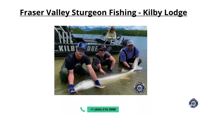 fraser valley sturgeon fishing kilby lodge