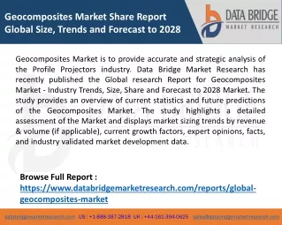 geocomposites market share report global size
