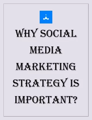 Social Media Management Services