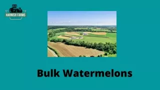 Bulk Watermelons
