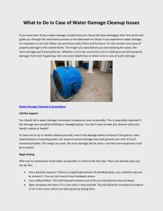 What to Do in Case of Water Damage Cleanup Issues