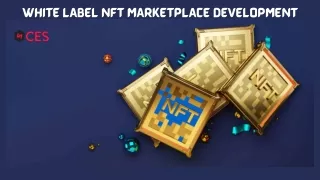 Maximize your revenue with NFT Marketplace Development