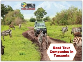 Best Tour Companies in Tanzania