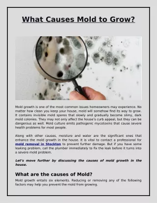 Reasons Behind the Mold Growth