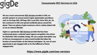 Consummate SEO Services In USA