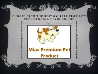 GAUTERF visibility Pet Harness & Leash