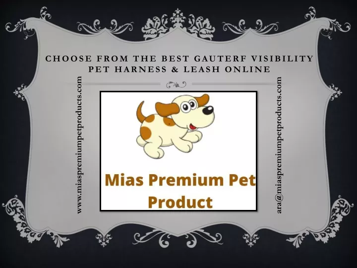 choose from the best gauterf visibility pet harness leash online