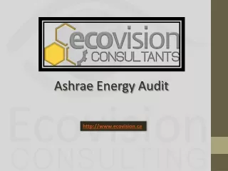 Ashrae Energy Audit