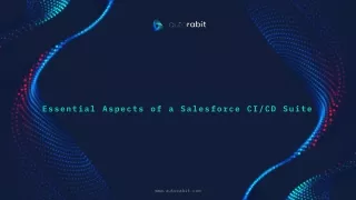 Essential Aspects of a Salesforce CI/CD Suite
