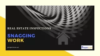 real estate inspections snagging work