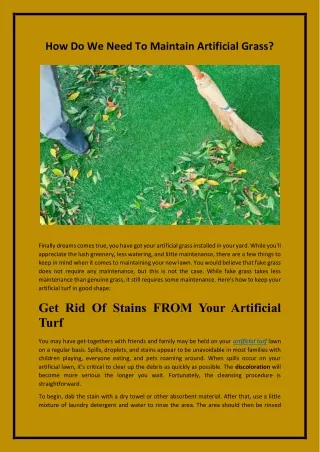 How Do We Need To Maintain Artificial Grass?