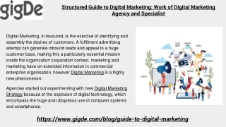 Structured Guide to Digital Marketing: Work of Digital Marketing Agency