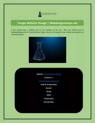 tampa website design webdesigntampa net