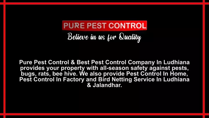 pure pest control best pest control company