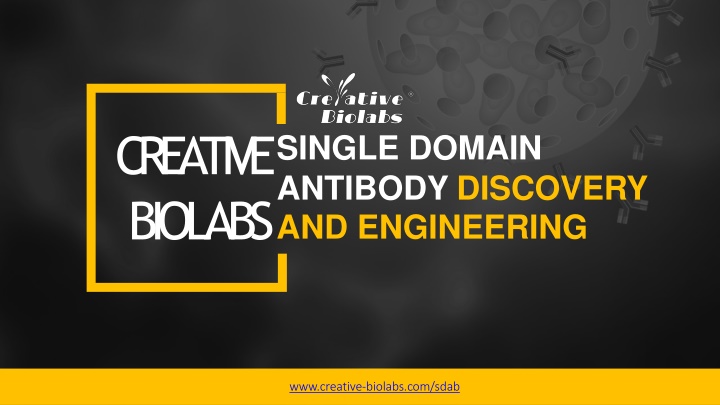 creative single domain