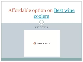 Affordable option on Best wine coolers