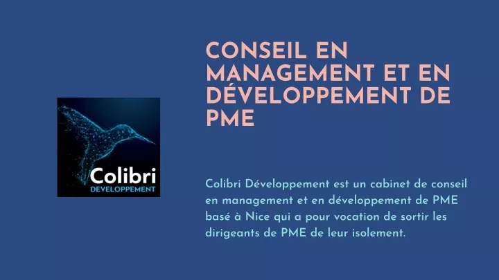 conseil en management et en d veloppement de pme