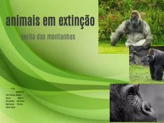 animais em extin o gorila das montanhas