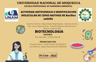 MAPA CONCEPTUAL_AREVALO_LUNA - ACTIVIDAD ANTIFUNGICA E IDENTIFICACION MOLECULAR DE CEPAS NATIVAS DE Bacillus subtilis