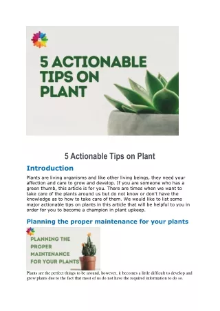 5 actionable tips on plant introduction