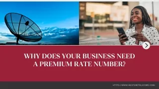 why does your business need a premium rate number