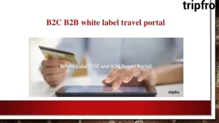 b2c b2b white label travel portal