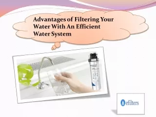 Advantages of Filtering Your Water With An Efficient Water System