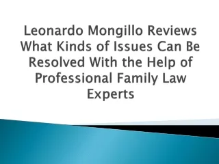 Leonardo Mongillo Reviews What Kinds of Issues Can Be Resolved With the Help of Professional Family Law Experts