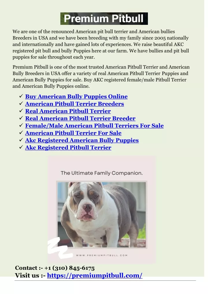 we are one of the renounced american pit bull