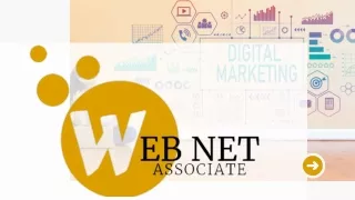 Best Digital Marketing Web Net-