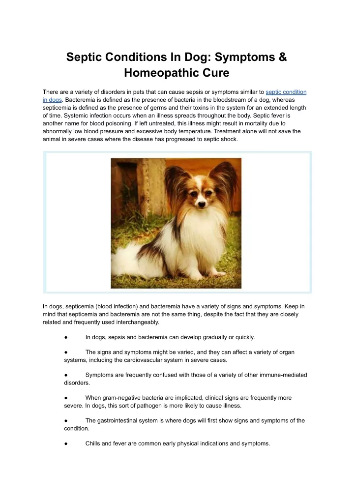 septic conditions in dog symptoms homeopathic cure