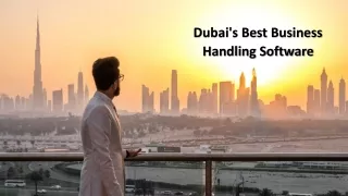 Dubai's Best Business Handling Software