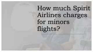 How much Spirit Airlines charges for minors flights?