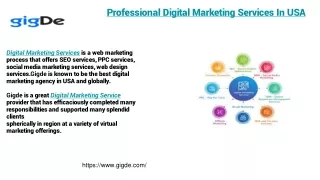 Professional Digital Marketing Services In USA