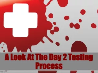 A Look At The Day 2 Testing Process