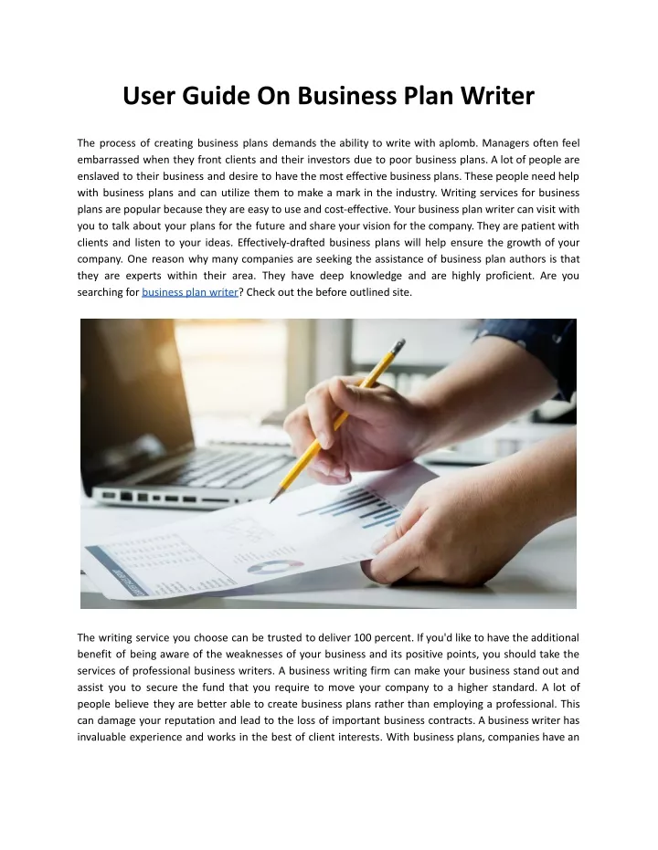 business plan writer job description