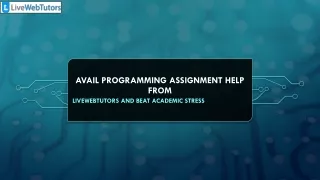 avail programming assignment help from