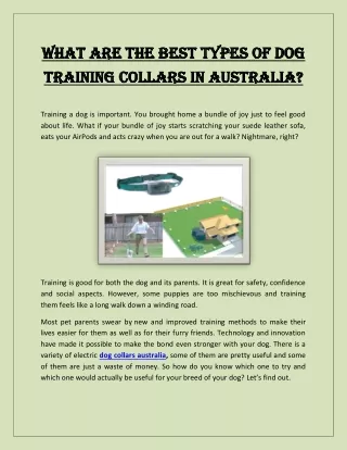 What Are The Best Types Of Dog Training Collars In Australia?