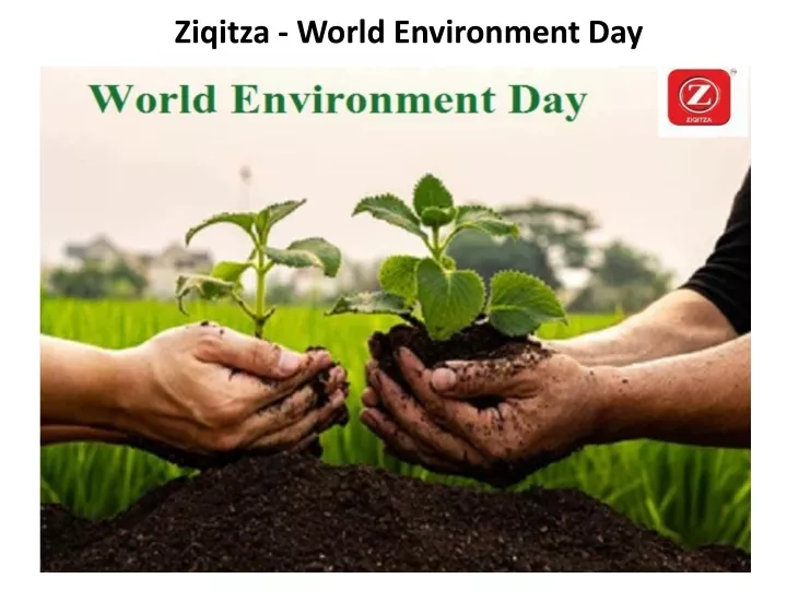 ziqitza world environment day