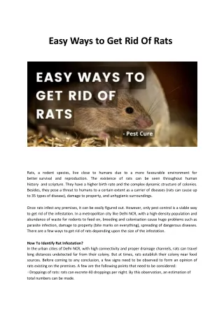 Easy ways to get rid of rats
