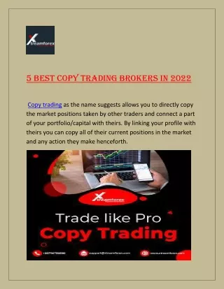 5 Best copy trading brokers in 2022