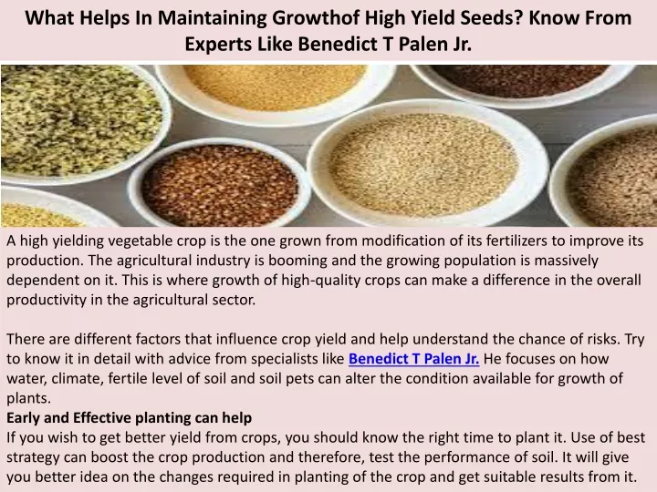 what helps in maintaining growthof high yield seeds know from experts like benedict t palen jr