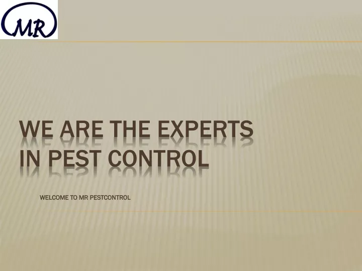 welcome to mr pestcontrol