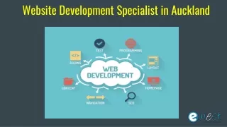 Website Development Specialist in Auckland
