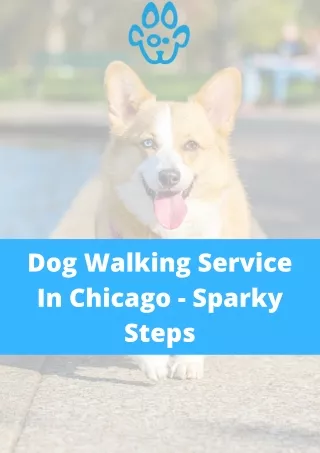 Dog Walking Service In Chicago - Sparky Steps