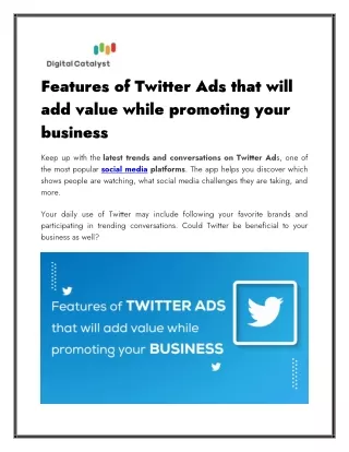 Features of Twitter Ads that will add value while promoting your business