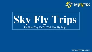 Airlines Tickets Booking With Sky Fly Trips