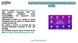 Top Recommended Digital Marketing Agency In USA