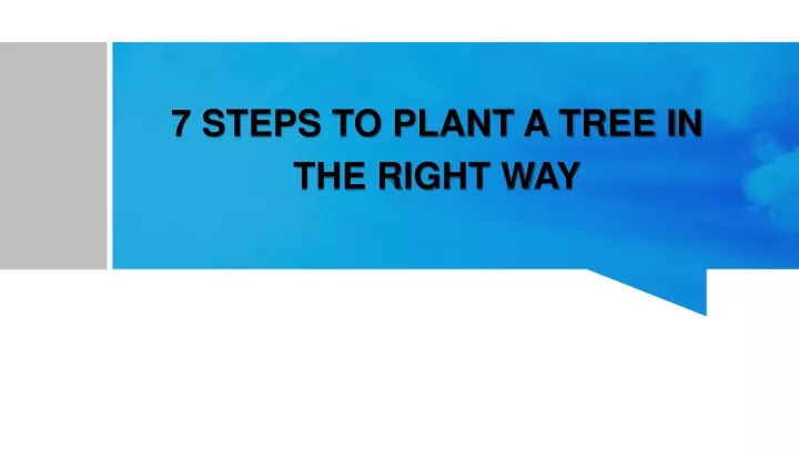 7 steps to plant a tree in the right way